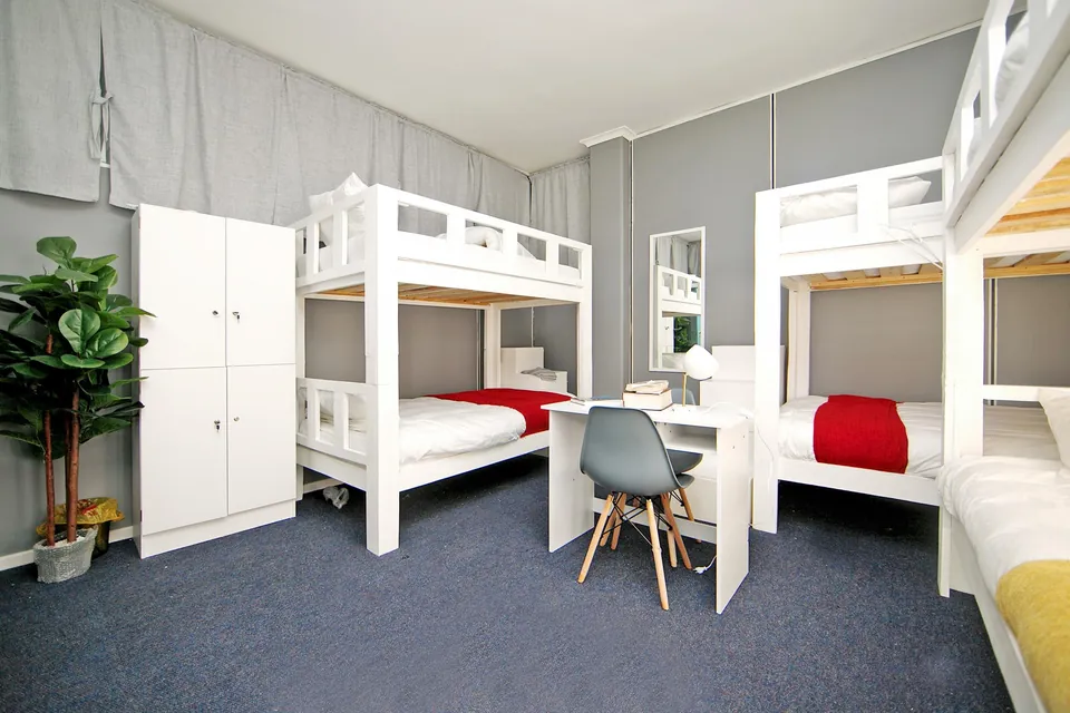 Bunk beds with lockers, a plant and a study desk